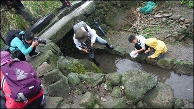 DSCF9064-20141116.JPG