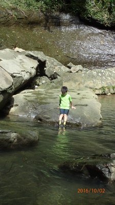 PA021390.JPG