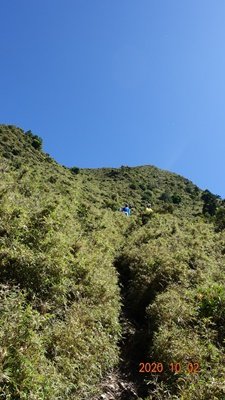 DSC03303.JPG