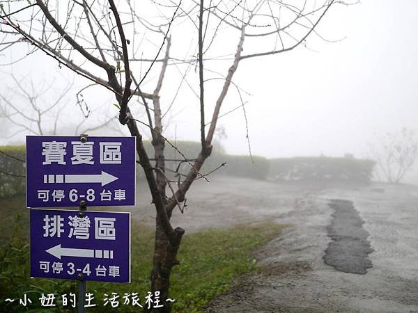 小妞的生活旅程52新竹五峰 賽夏有機農場 露營區 五星級 早晨 溫度.jpg