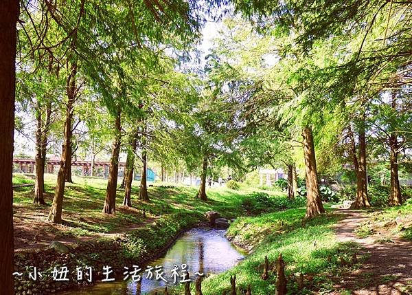 101 宜蘭落羽松 羅東運動公園落羽松 2016 2017 2018 2019 2020 2021 2022.jpg