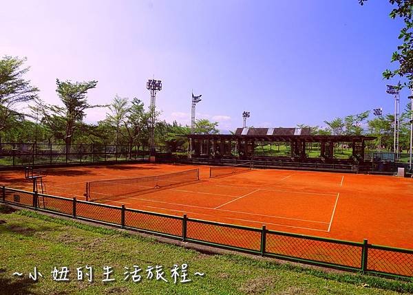 107 宜蘭落羽松 羅東運動公園落羽松 2016 2017 2018 2019 2020 2021 2022.jpg