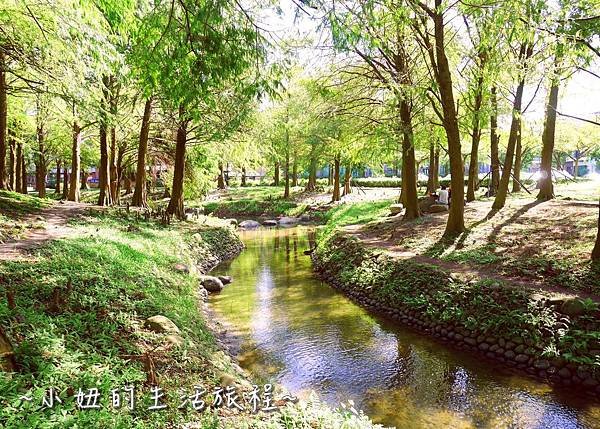 112 宜蘭落羽松 羅東運動公園落羽松 2016 2017 2018 2019 2020 2021 2022.jpg