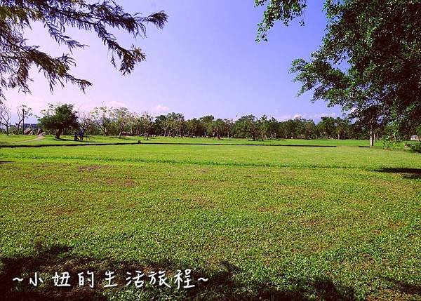 113 宜蘭落羽松 羅東運動公園落羽松 2016 2017 2018 2019 2020 2021 2022.jpg