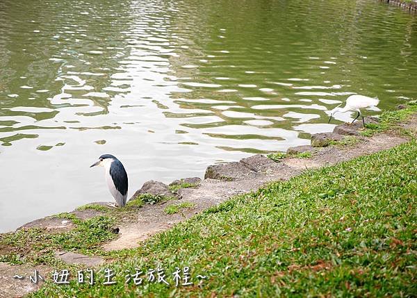  碧湖公園 改建後 內湖碧湖公園兒童遊樂區 閱覽室P1130763.jpg