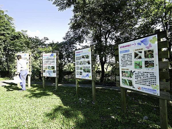 亞泥蝴蝶生態園區-6.jpg