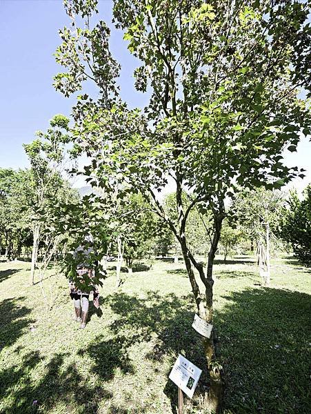 亞泥蝴蝶生態園區-47.jpg