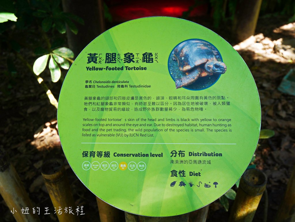 木柵動物園,穿山甲館,熱帶雨林館,2019-33.jpg