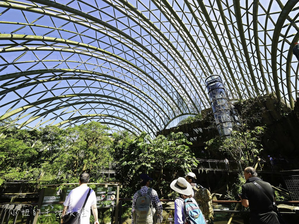 木柵動物園,穿山甲館,熱帶雨林館,2019-44.jpg