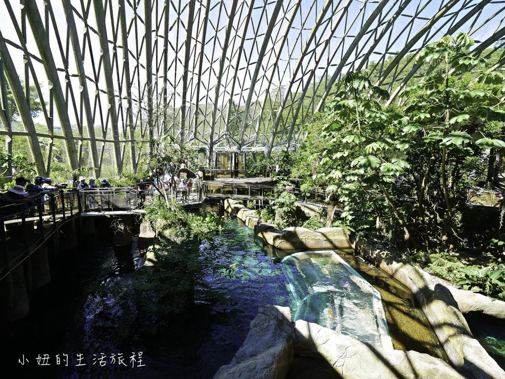 木柵動物園,穿山甲館,熱帶雨林館,2019-51.jpg