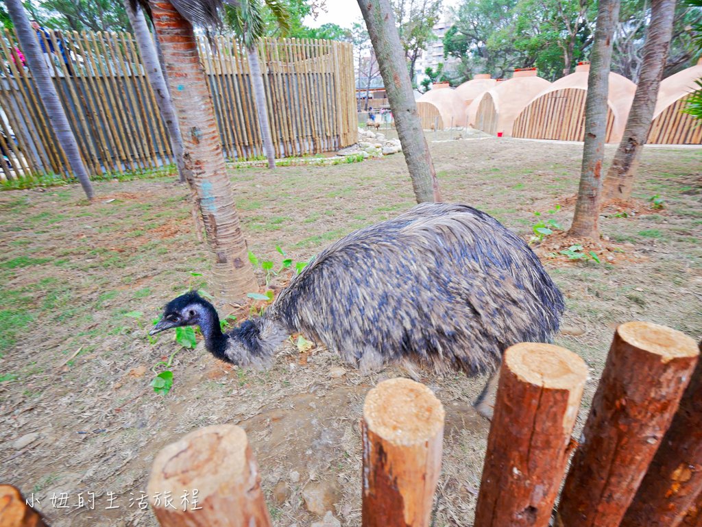 新竹動物園-23.jpg