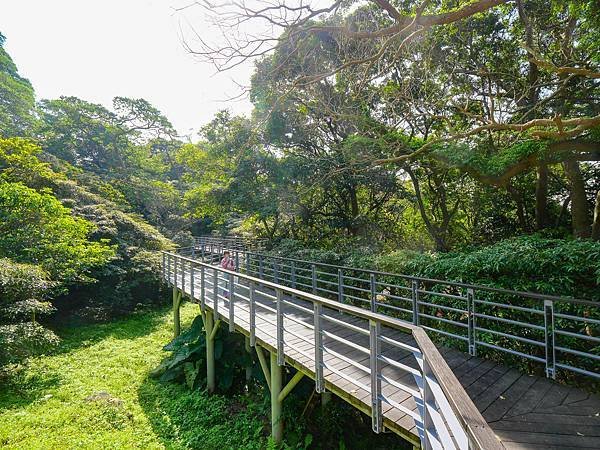 五股觀音山林梢步道-11.jpg