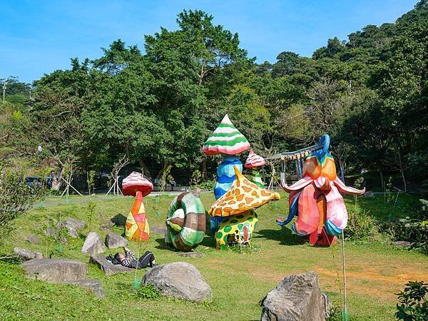 五股觀音山林梢步道-10.jpg