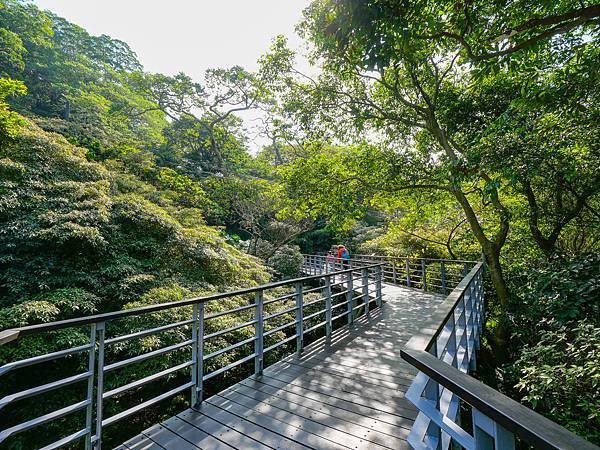 五股觀音山林梢步道-12.jpg