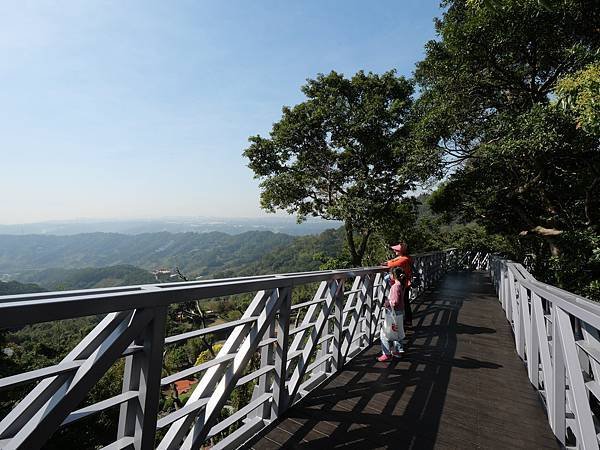 五股觀音山林梢步道-15.jpg