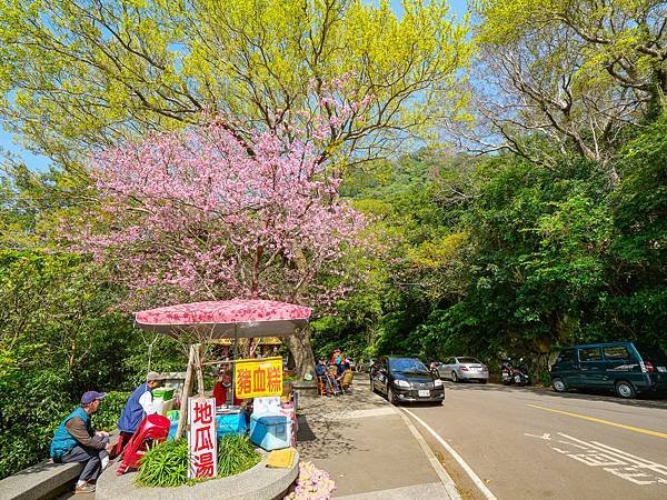 五股觀音山林梢步道-28.jpg