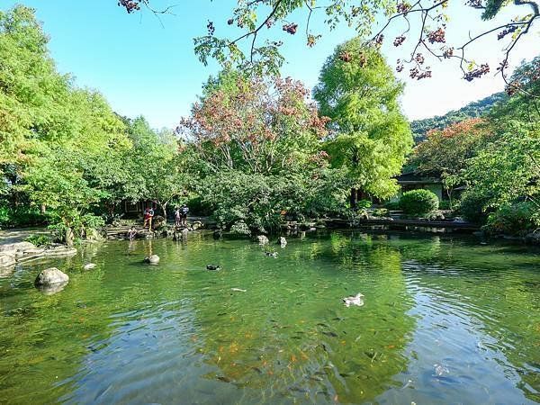 三富農場,紫蝶館,欒樹館-47.jpg