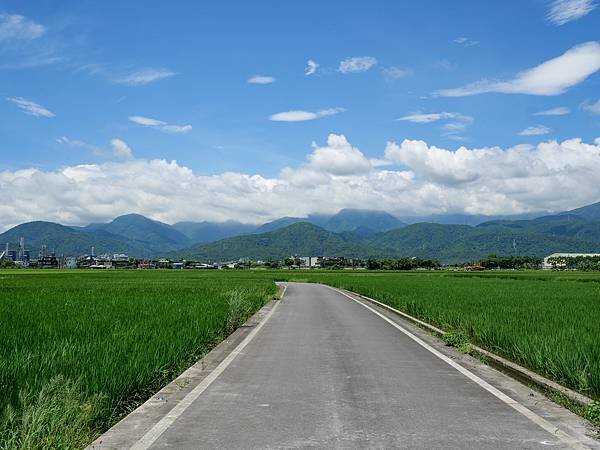 冬山河休閒農業區,五十二甲溼地,三奇美徑-20.jpg