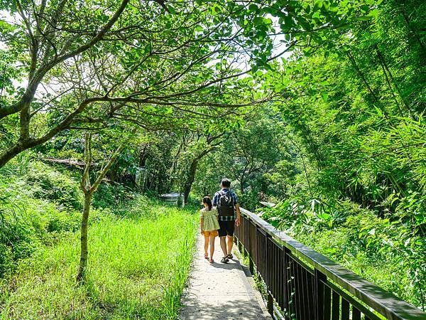 白石湖吊橋,同心湖,夫妻樹-11.jpg