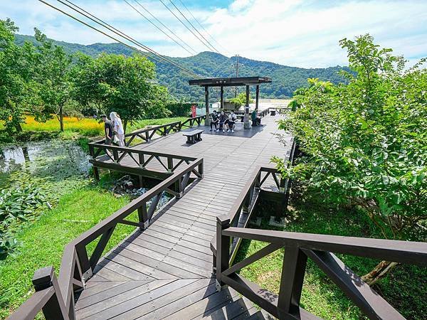 白石湖吊橋,同心湖,夫妻樹-20.jpg