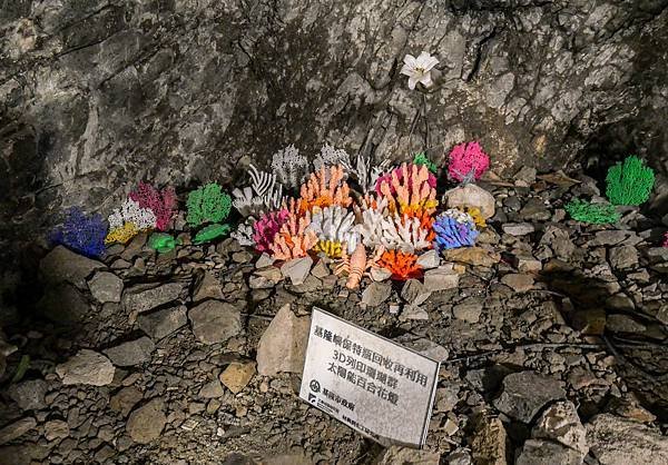 基隆嶼登島,玉龍捌號,魚湯-41.jpg