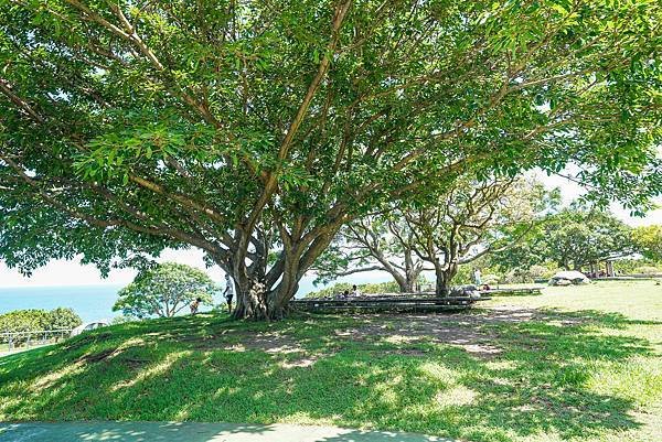 交通部觀光局東部海岸國家風景區管理處,台東北海道-29.jpg