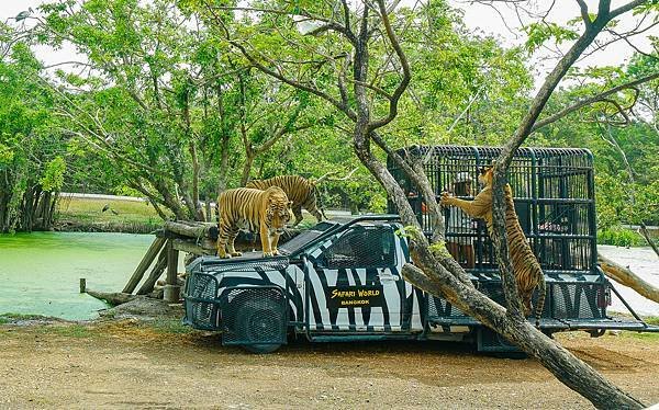 曼谷賽佛瑞野生動物園,Safari World-13.jpg