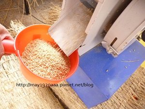 2012冬山茶米節_2-13