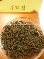 2012冬山茶米節_菇菇茶米館_09