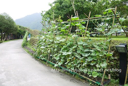 2013宜蘭綠色博覽會_03_河床邊步道-02