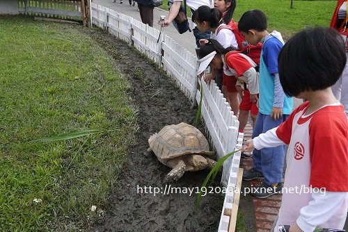2013宜蘭綠色博覽會_07_大地牧場-09