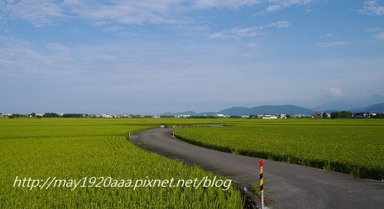 2014-06-02_冬山-三奇_P1040524.JPG