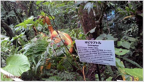 沖繩-恐龍森林-8.jpg