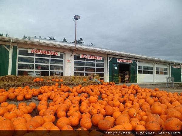 bCloverdaleFarm3