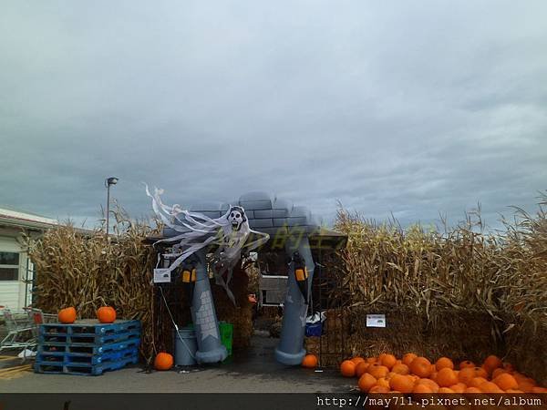 bCloverdaleFarm4