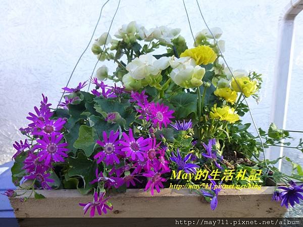 flower2