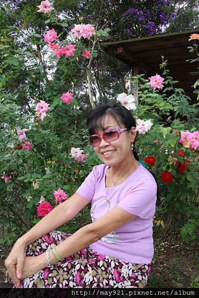 IMG_7003.JPG