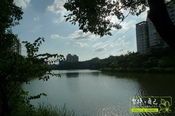 20110910_25.jpg