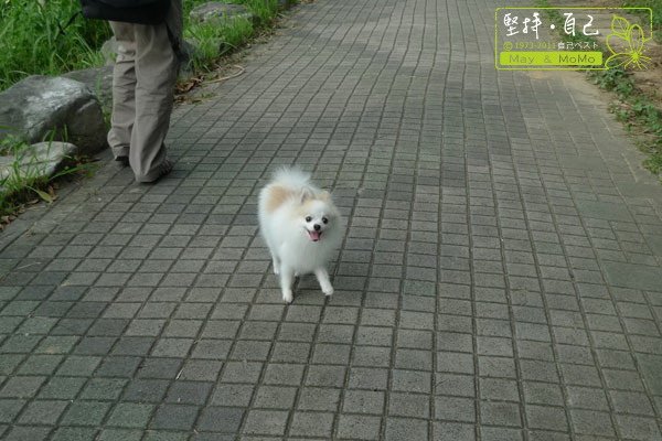 20110910_28.jpg