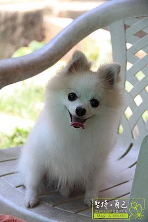 20110910_07.jpg