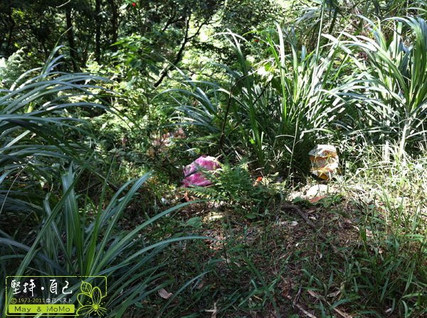 20110910_19.jpg