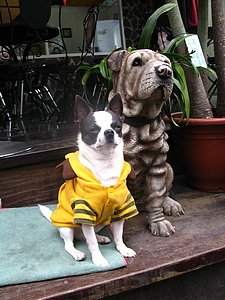 090301_05.jpg