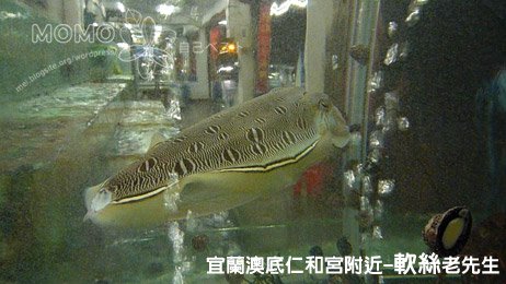 20091212_12.jpg