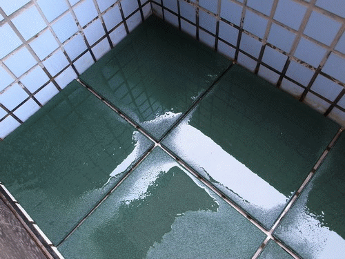 地墊測試.gif