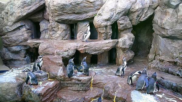 190121宮島水族館