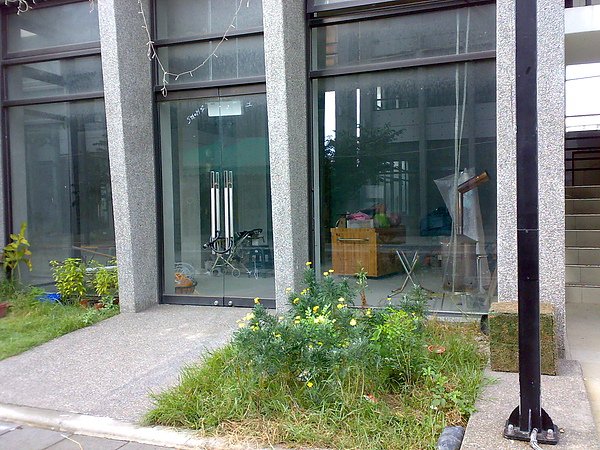 普利茲廣場門前雜草1.jpg