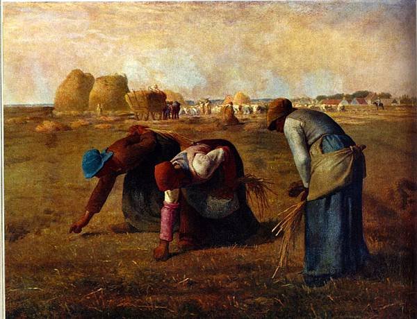 millet01
