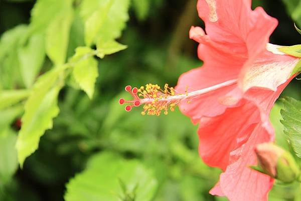 IMG_9763.JPG