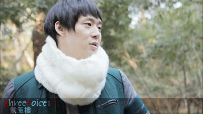 3VYC11.gif