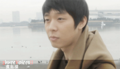 3VYC13.gif